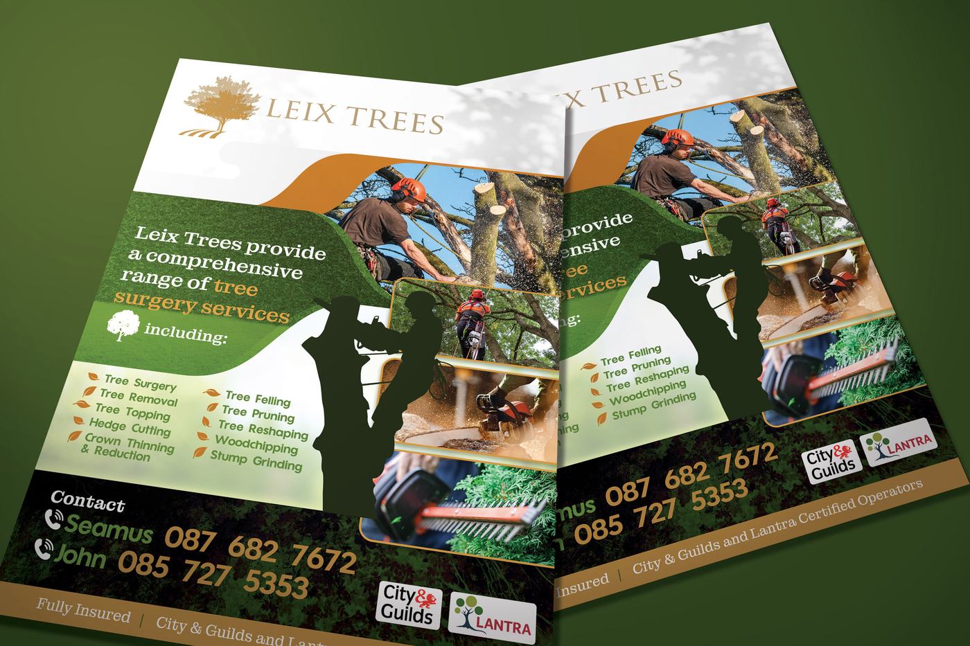 Leix Trees tree surgery A5 flyer